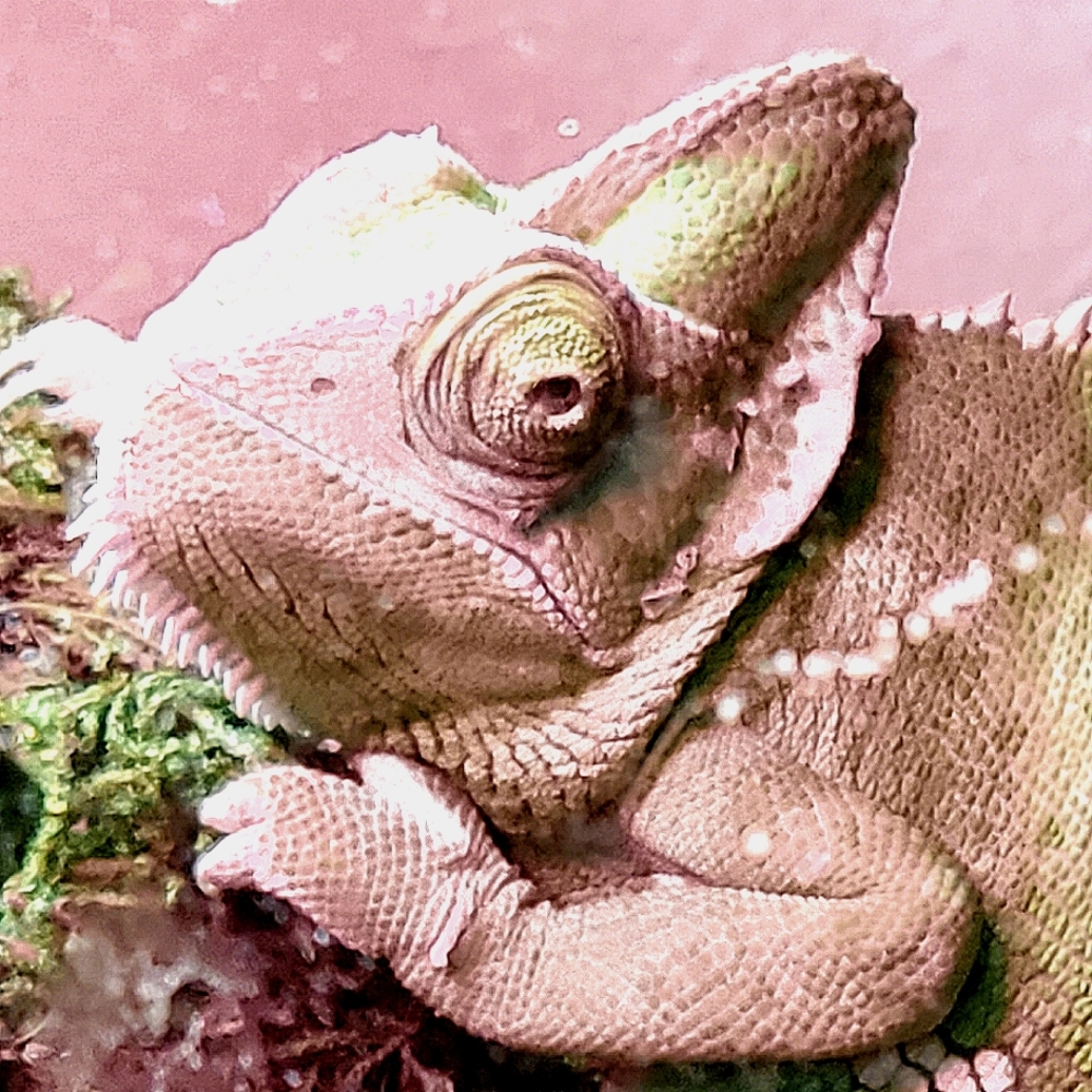 Meet your Posher, Stephanie